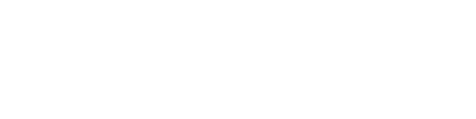 nissi logo white